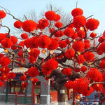 Lanterne Chinoise pour le Nouvel An - Vignette | Trésors de Chine