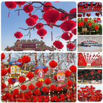Lanterne Chinoise pour le Nouvel An - Vignette | Trésors de Chine