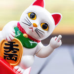 Chat Chinois Doigt d'Honneur - Vignette | Trésors de Chine