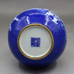 Vase Chinois avec Relief - Vignette | Trésors de Chine